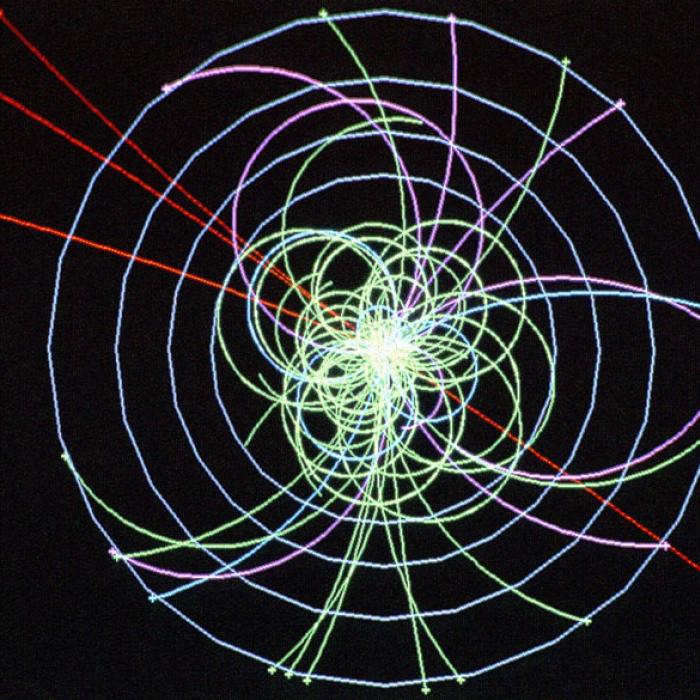 Example of simulated data of a decay path of the Higgs boson