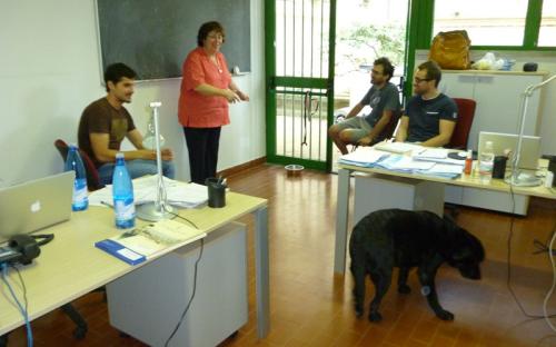 uam__j_yepes_b_gavela__l_merlo_r_alonso__vega.jpg
